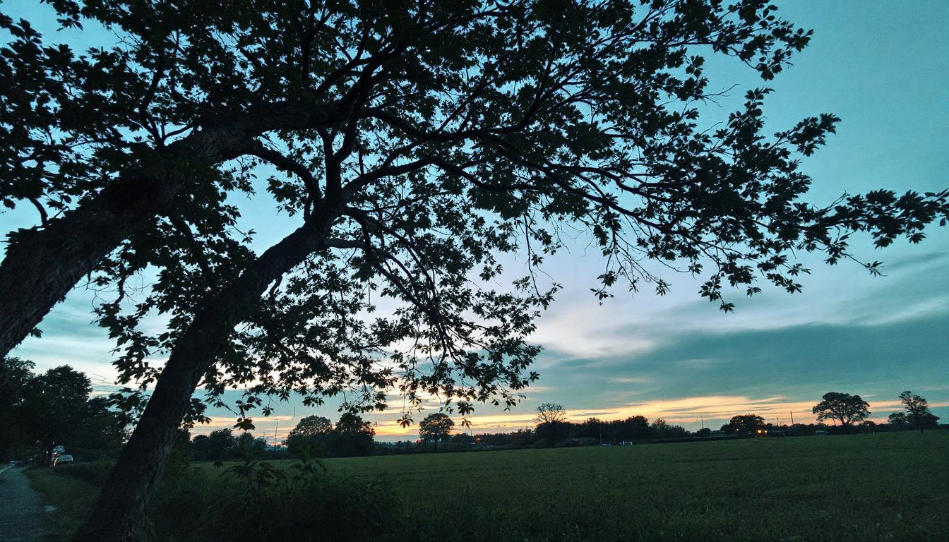 Vitamíny pro krásnou pleť: Jak kolagenové gumídky pomáhají vaší pokožce