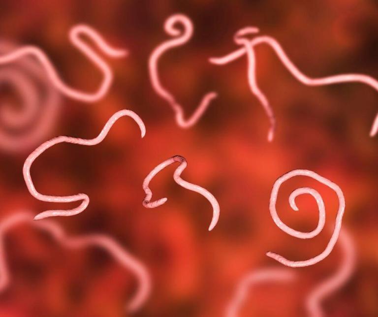 piperinox: podpořte zdravé hubnutí přírodními ingrediencemi pro bezpečnou a efektivní redukci váhy.